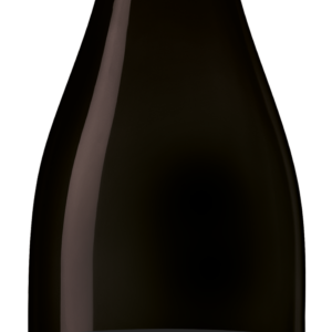 CEP'RESIST Vidoc, IGP Atlantique, Rouge, 2025