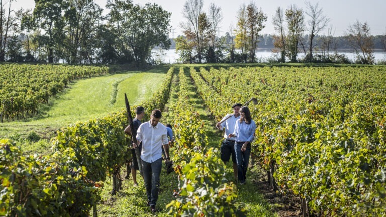 LES VIGNERONS DE TUTIAC