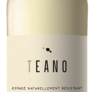 TEANO BLANC cepage resistant