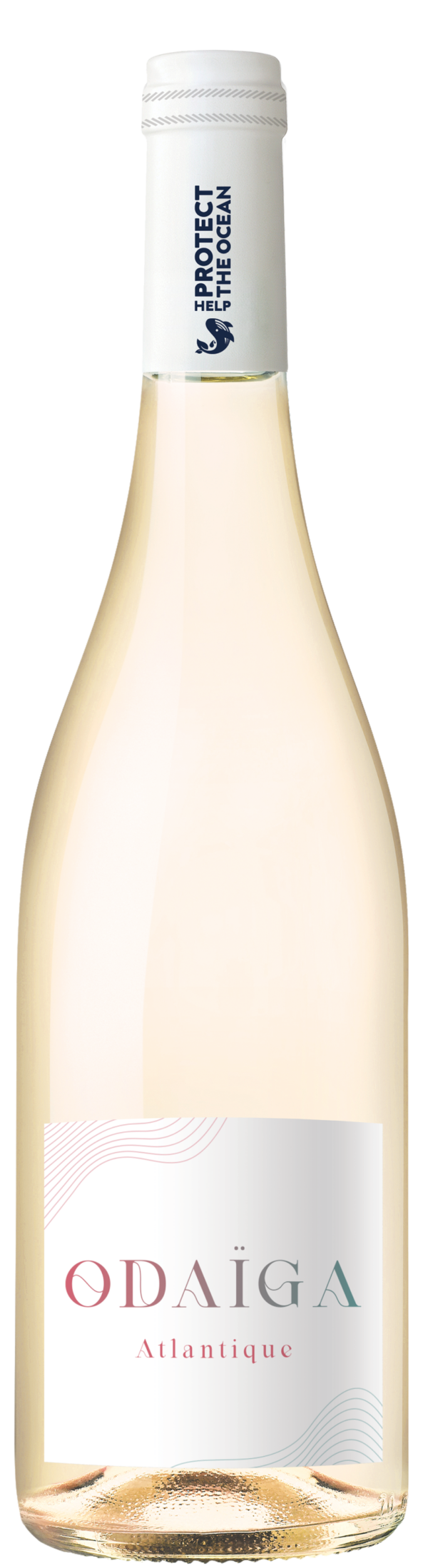 Odaïga Blanc 2024