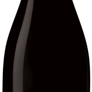 CEP'RESIST Vidoc, IGP Atlantique, Rouge, 2024