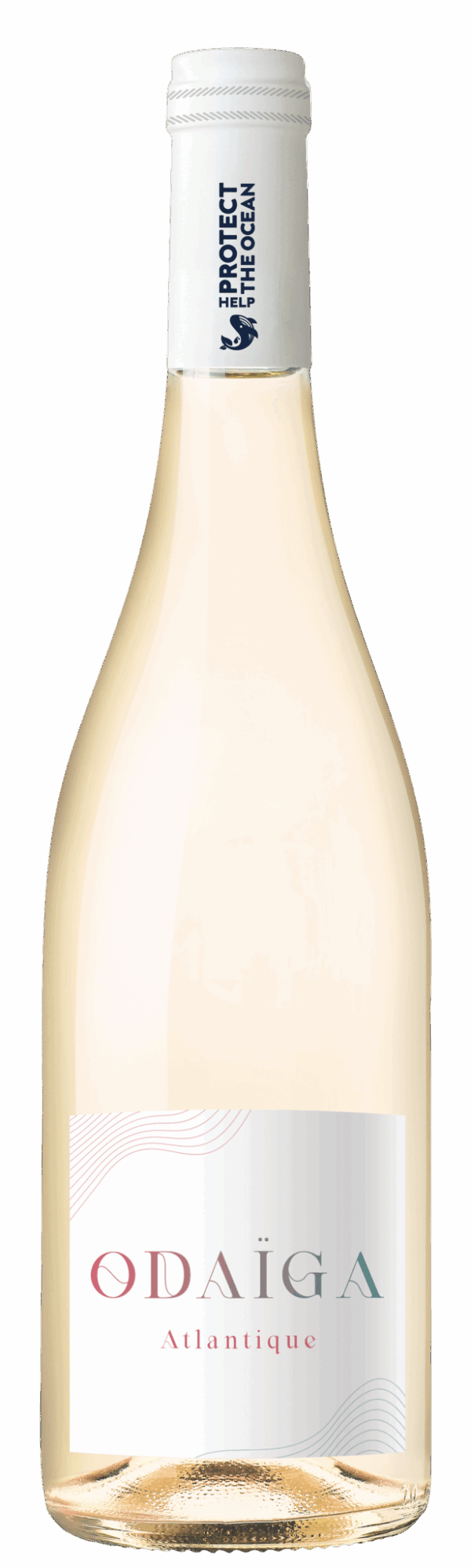 ODAIGA, Help Protect The Ocean, IGP Atlantique, Blanc, 2024