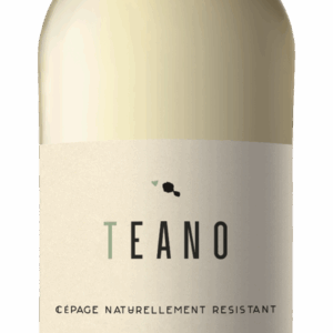 TEANO Souvignier Gris, IGP Atlantique, Blanc, 2024