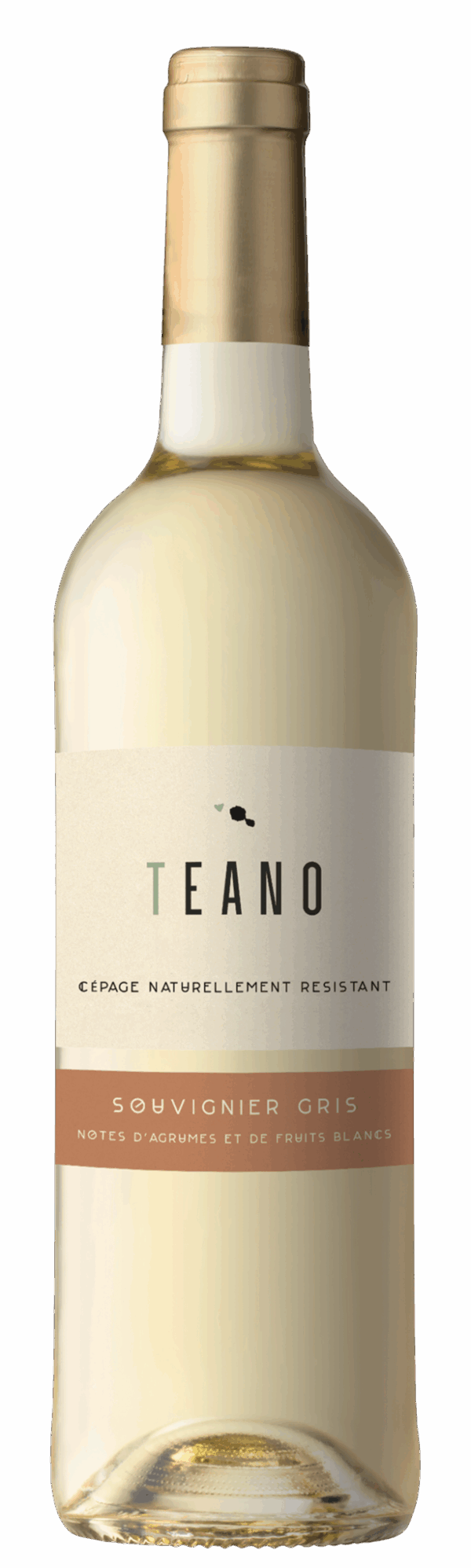 TEANO Souvignier Gris, IGP Atlantique, Blanc, 2024