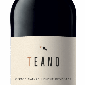 TEANO Vidoc, IGP Atlantique, Rouge, 2024
