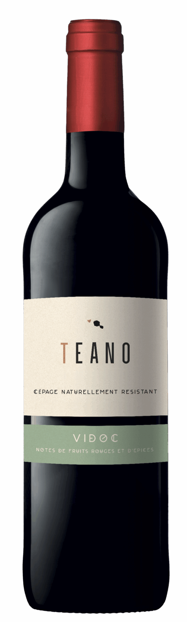TEANO Vidoc, IGP Atlantique, Rouge, 2024