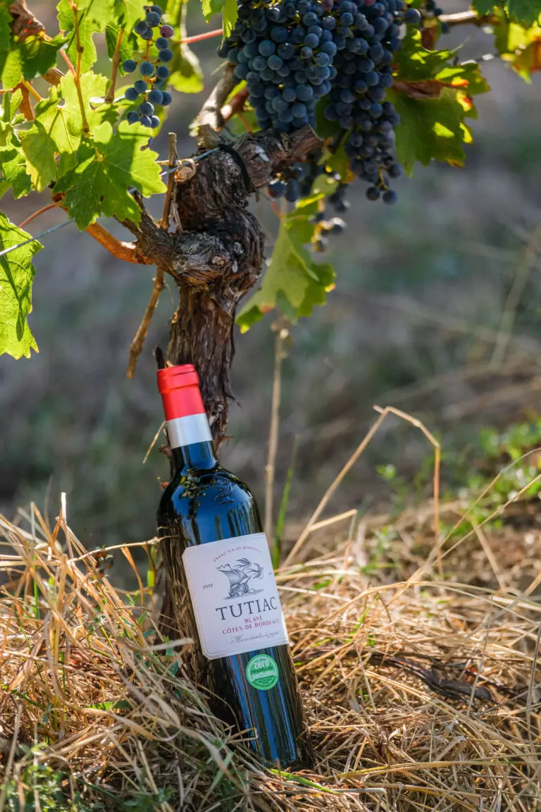 Tutiac Tutiac Vignerons de de rouge 2020 Côtes - Blaye Bordeaux