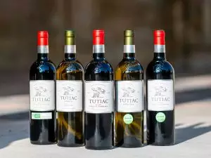 Tutiac Blaye Côtes de Bordeaux rouge 2020 - Vignerons de Tutiac